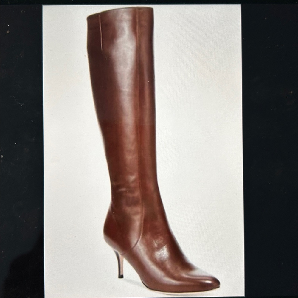 Cole Haan Carlyle Tall Boot